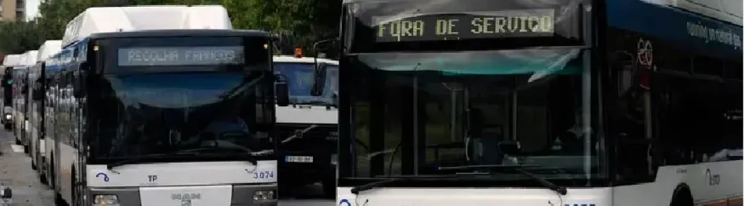 STCP Poderá Multar TVDE